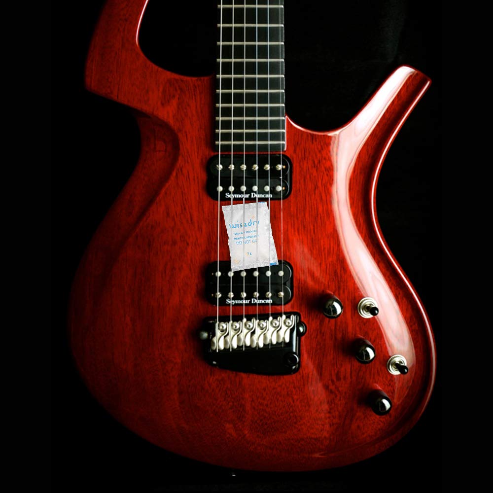 wisedry 2 x 500 Gram [2.2 lbs] Rechargeable Silica Gel Car Dehumidifier, Microwave Fast Reactivated Desiccant Packets Large for Gun Safe Closet Basement Garage Storage Moisture Absorbers Bag Reusable