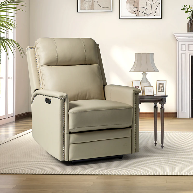 Ottfried Genuine Leather Power Recliner