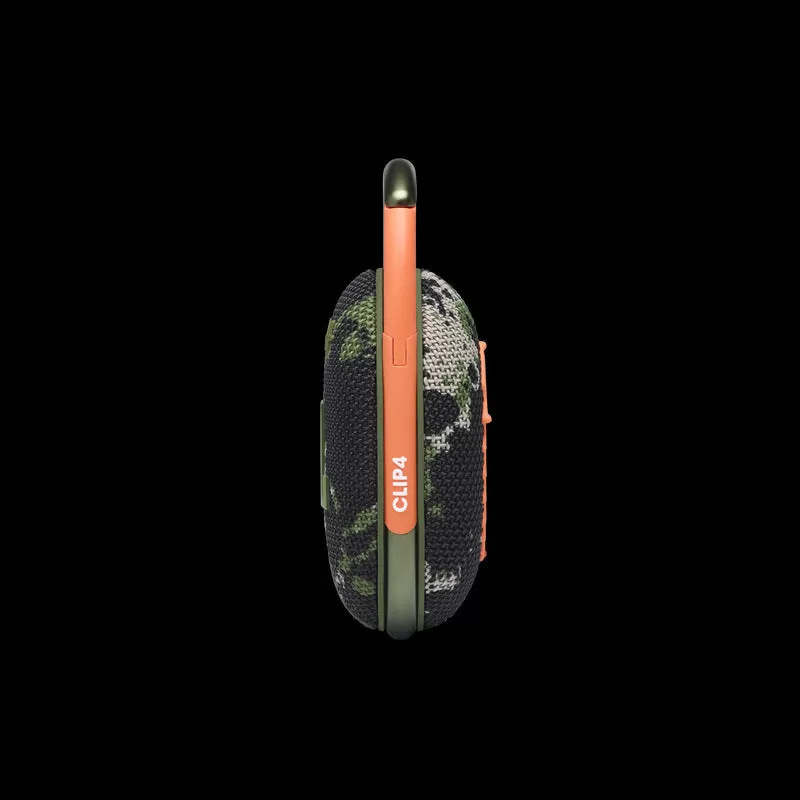 Clip 4