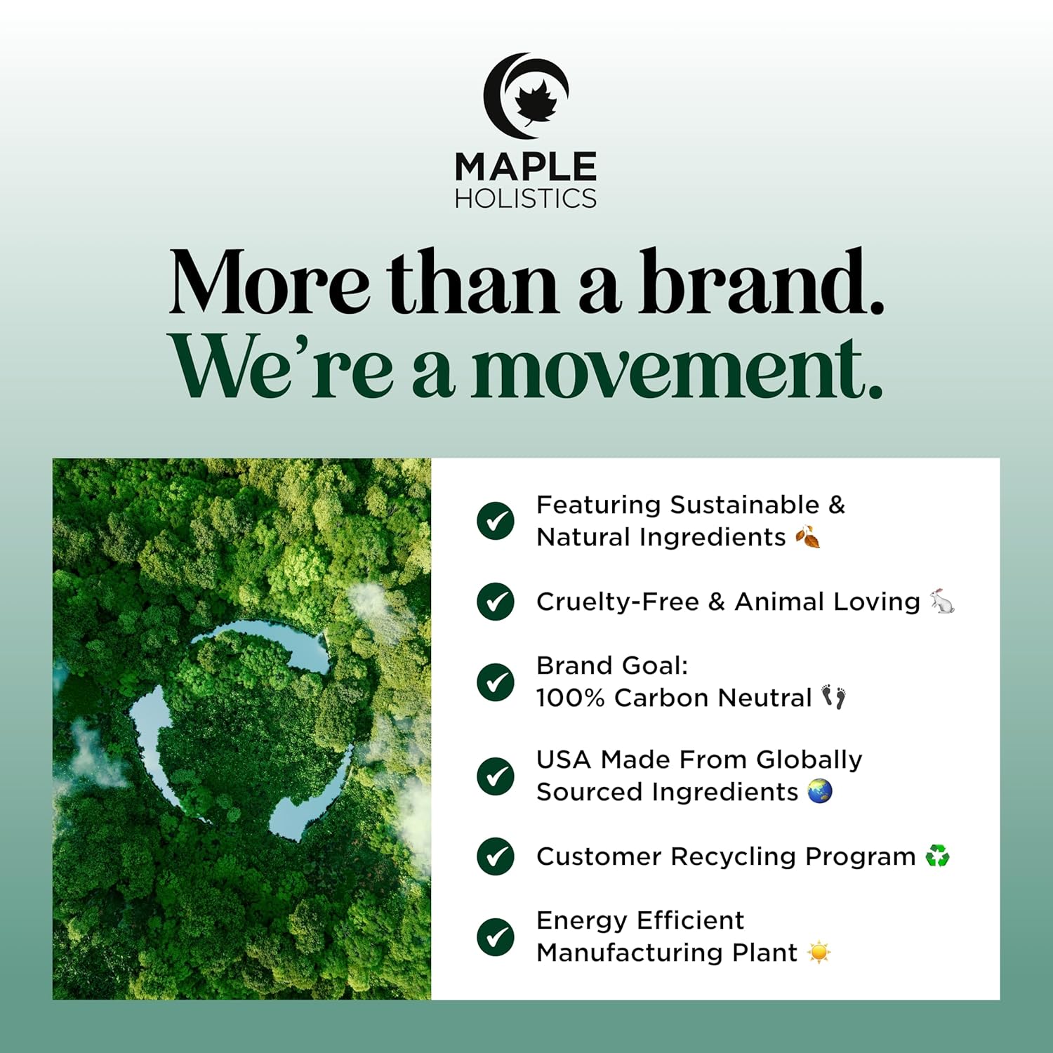 Rosemary and Biotin Shampoo for Thinning Hair - Vegan Volumizing Shampoo for Fine Hair with Argan and Tea Tree Oil - Paraben Silicone and Sulfate Free Shampoo for Dry Damaged Weak and Thin Hair Care