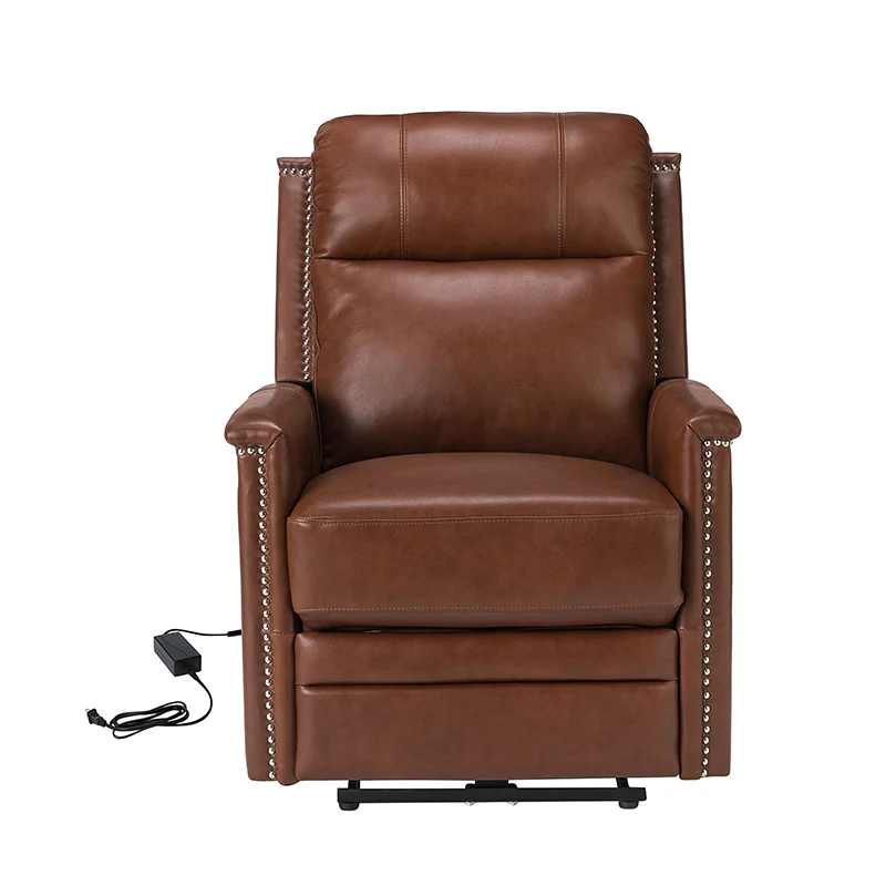 Ottfried Genuine Leather Power Recliner