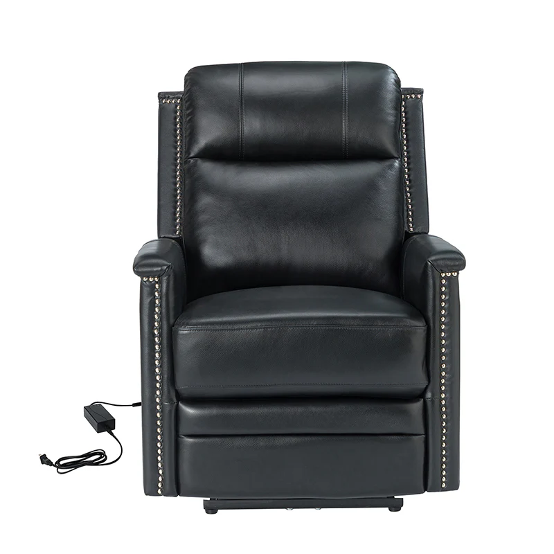 Ottfried Genuine Leather Power Recliner