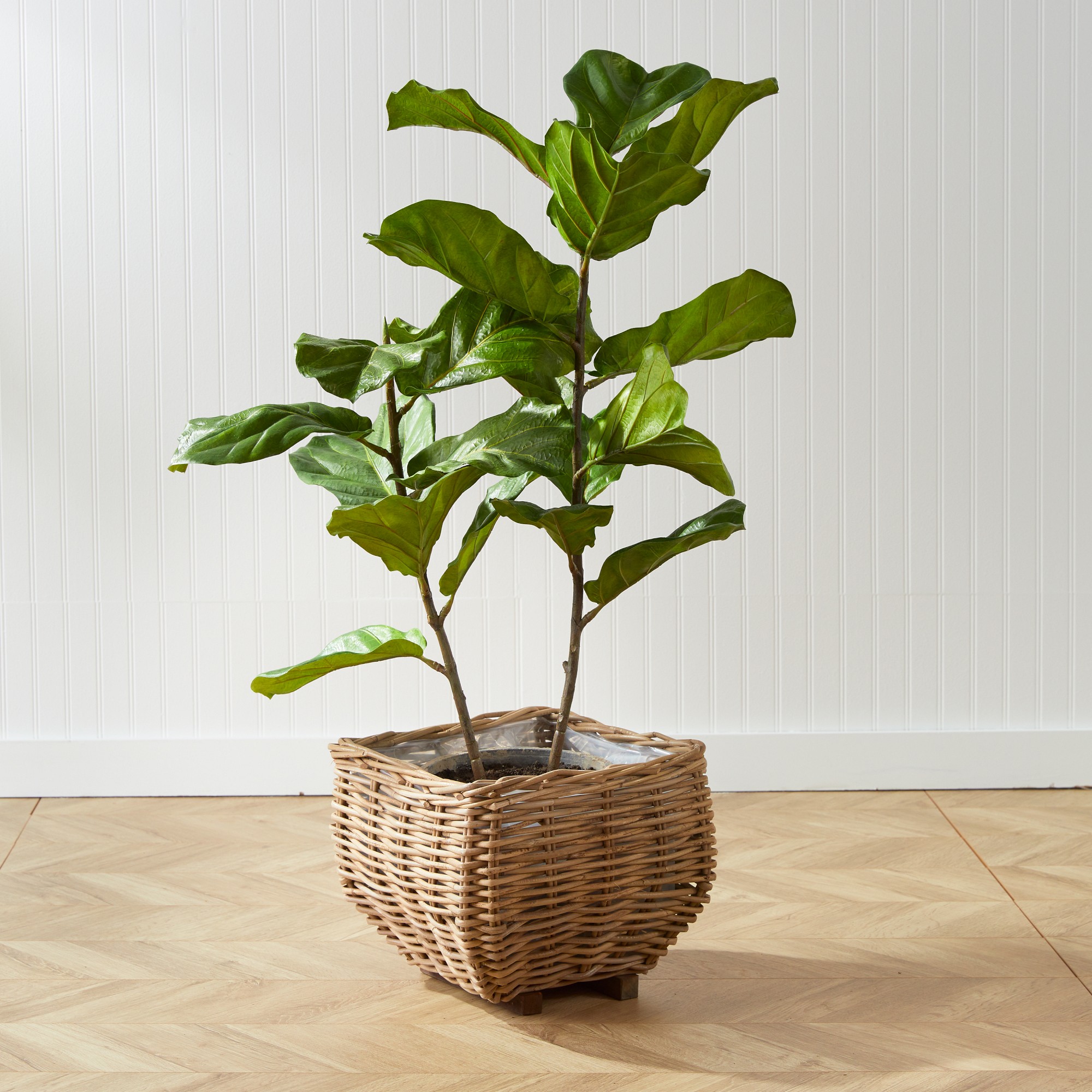 Sylvie Square Taper Basket Planter