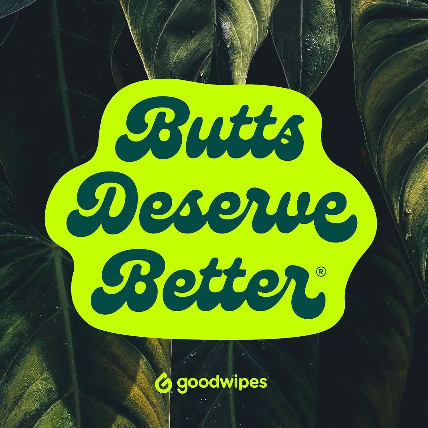 Goodwipes Flushable & Plant-Based Wipes with Botanicals | Dispenser for At-Home Use | Shea-Coco with Aloe Septic and Sewer Safe | 360 count (6 packs) - Biggest Adult Wipes