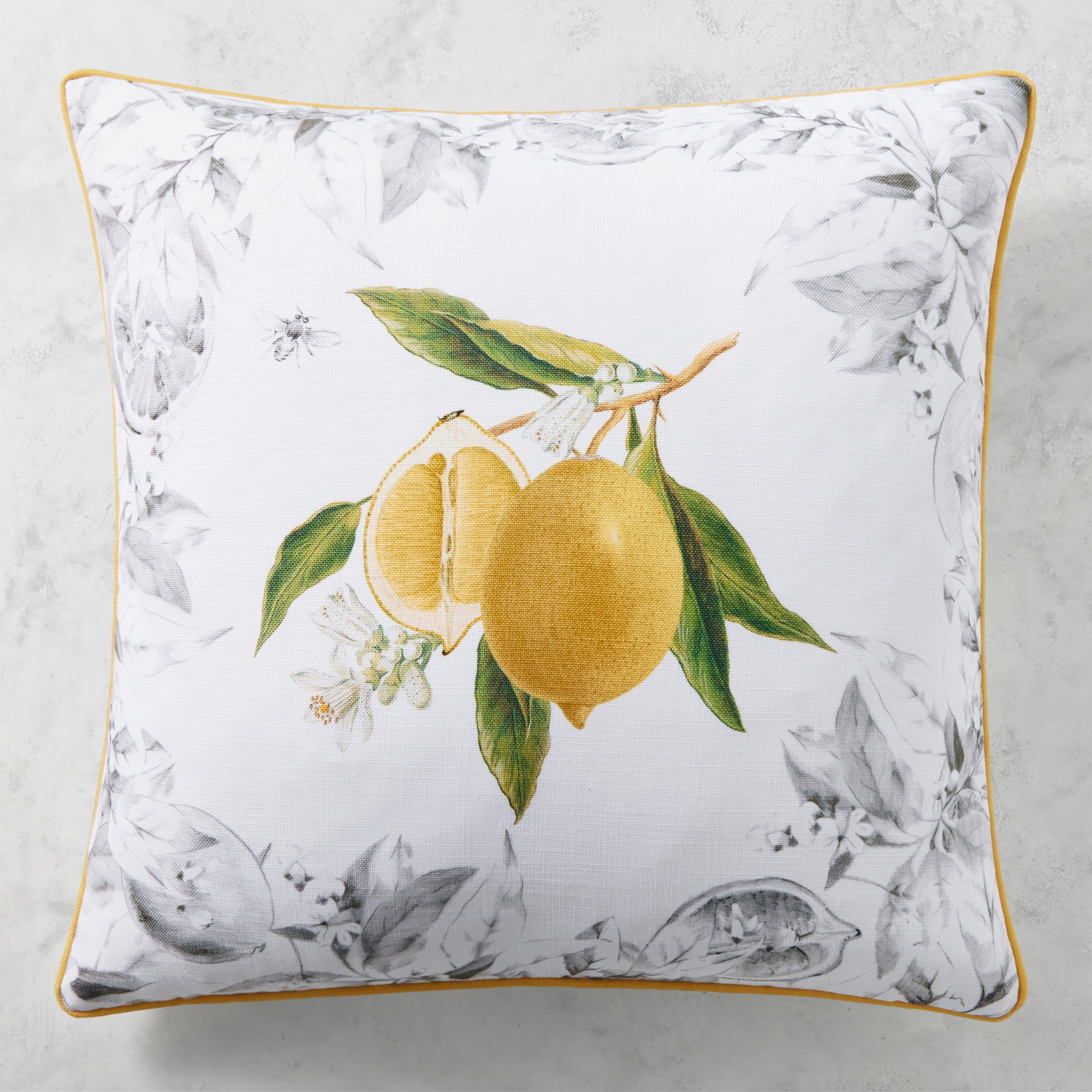 Meyer Lemon Pillow Cover