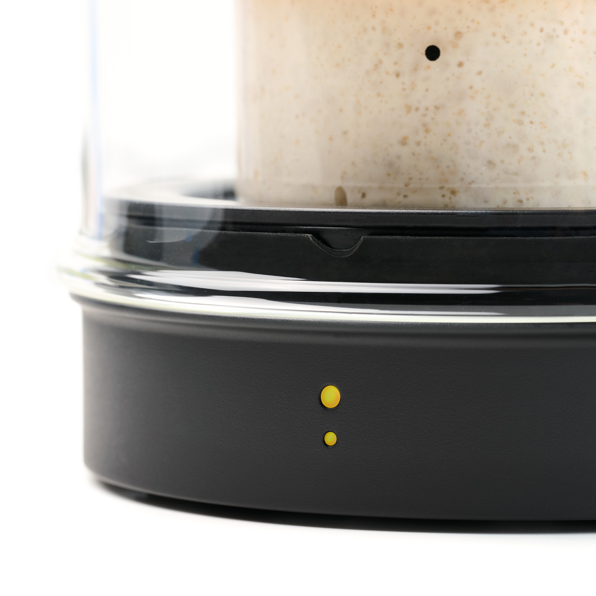 Goldie by Sourhouse™