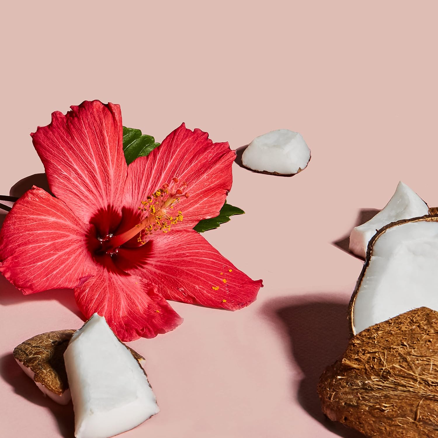 Sheamoisture Kids Extra Moisturizing Detangler for Curly Hair Coconut and Hibiscus Kids Detangler with Shea Butter 8 oz