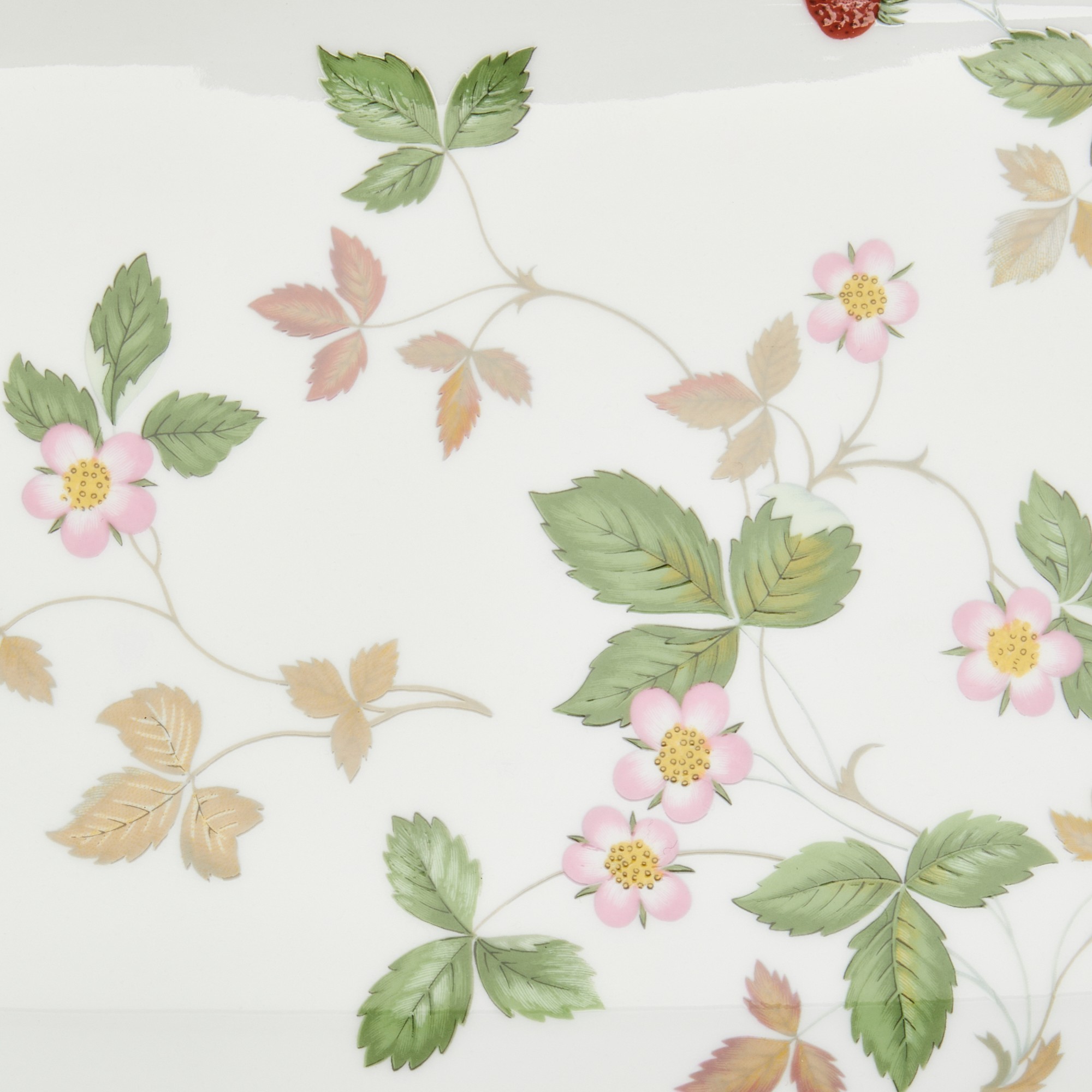 Wedgwood Wild Strawberry 5-Piece Dinnerware Set