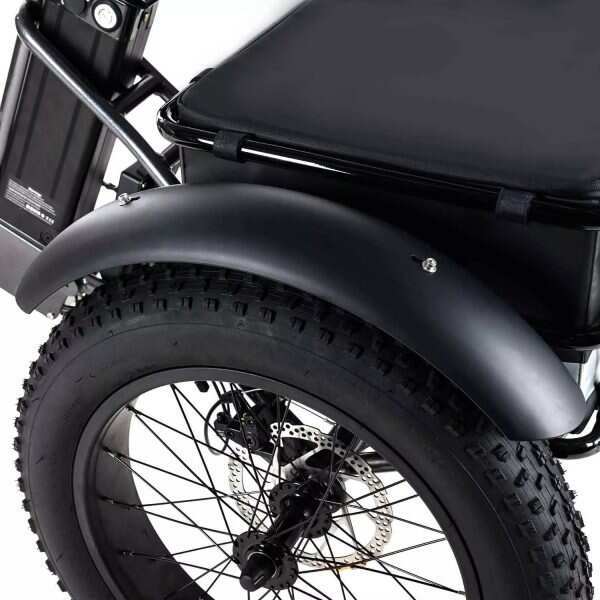 Outdoor electric bike with replaceable 48V 750Wh lithium battery✨