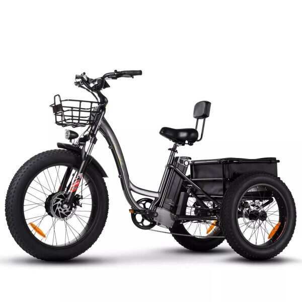 Outdoor electric bike with replaceable 48V 750Wh lithium battery✨