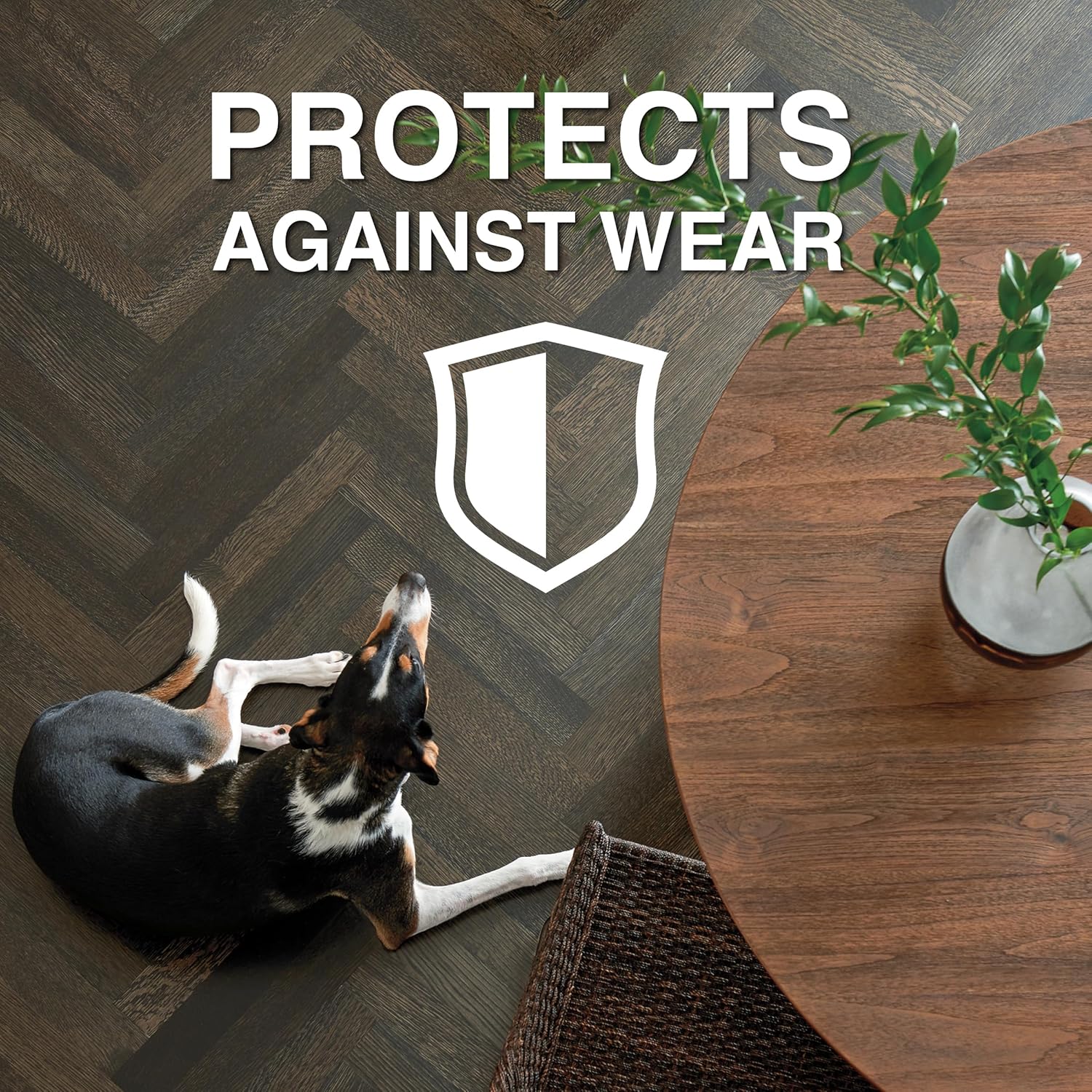 Bona Hardwood Floor Polish - 32 fl oz - High Gloss Shine - 32 oz covers 500sq ft of flooring - for use on Wood Floors