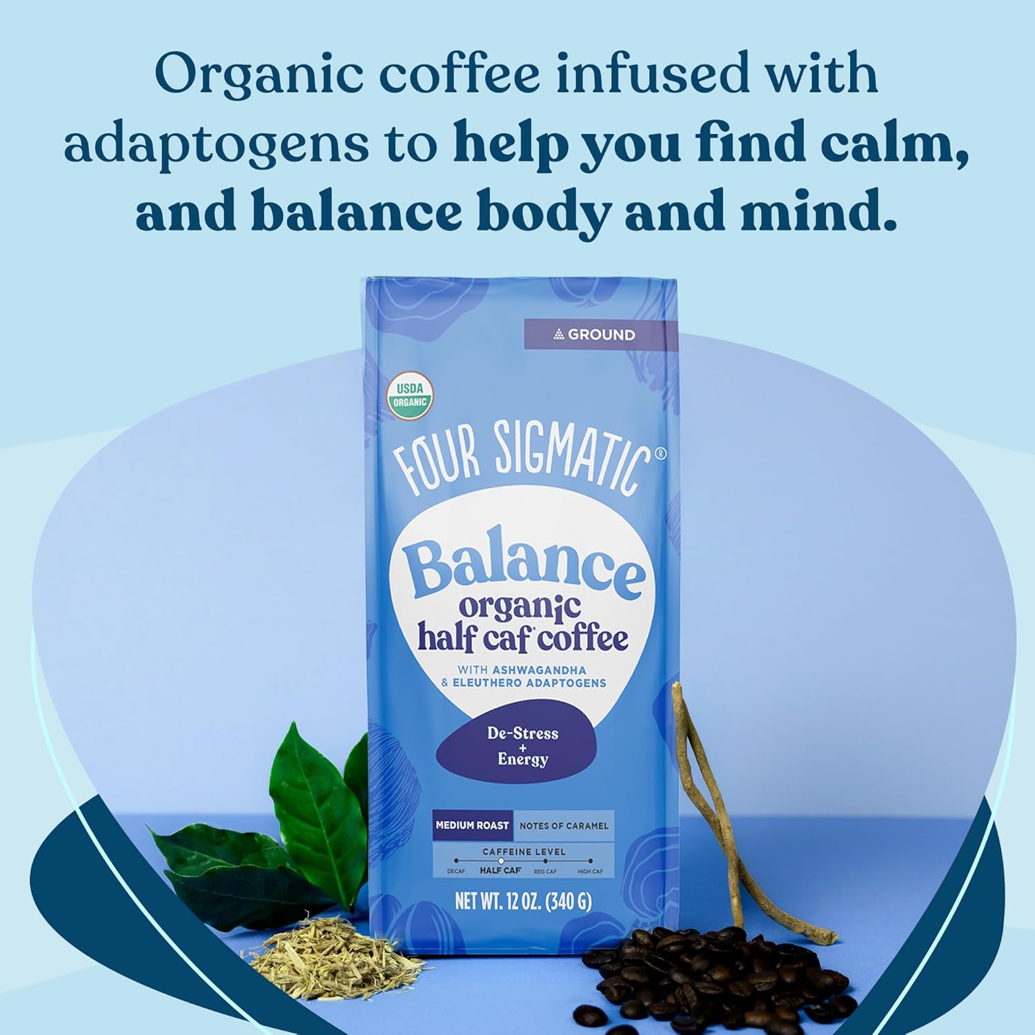 Four Sigmatic Think Mushroom Coffee | Organic Ground Coffee with Lion's Mane Mushroom and Chaga Mushroom | Nootropic Mushroom Coffee for Better Focus and Immune Support | 12oz Bag