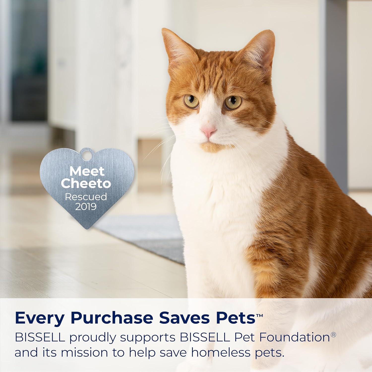 Bissell® PET PRO OXY Spot & Stain Formula for Portable Carpet Cleaners, 32 oz., 2034