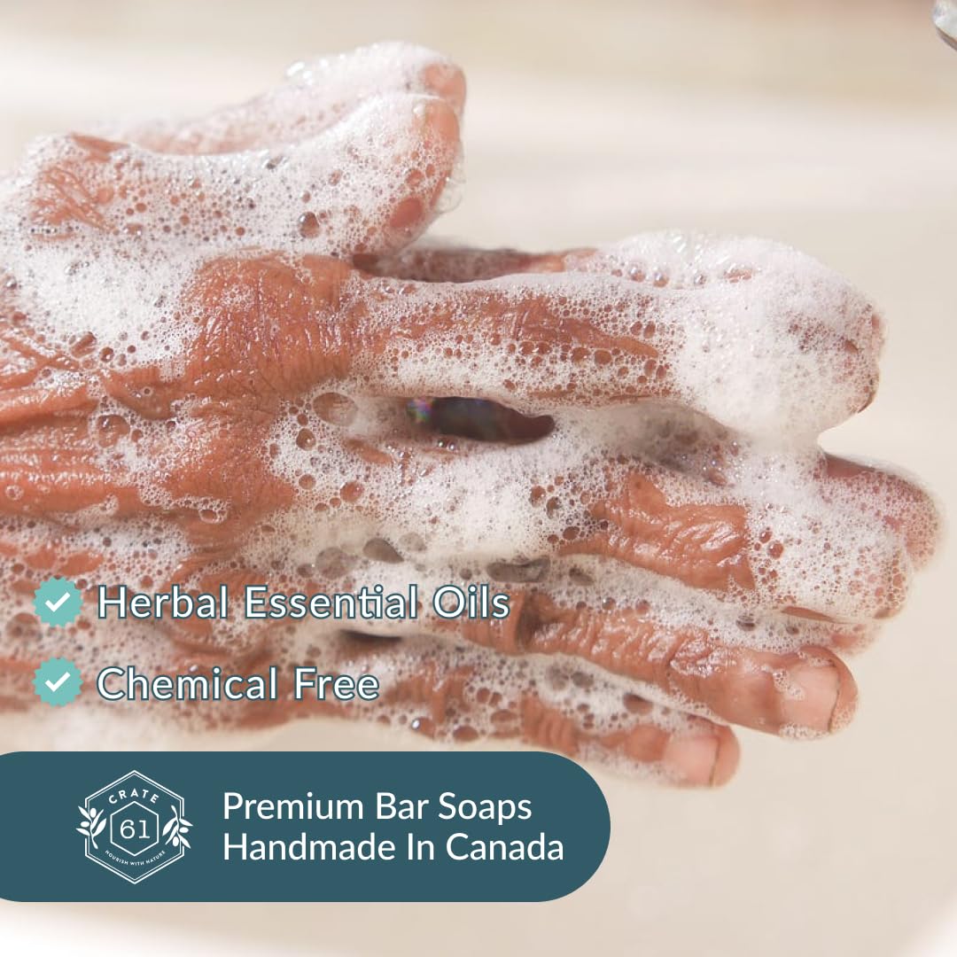 Handmade Vegan Natural Bar Soap Cold Pressed For Face And Body, With Premium Essential Oils, Eucalyptus & Peppermint For Men And Women 3 Pack (Lavender)