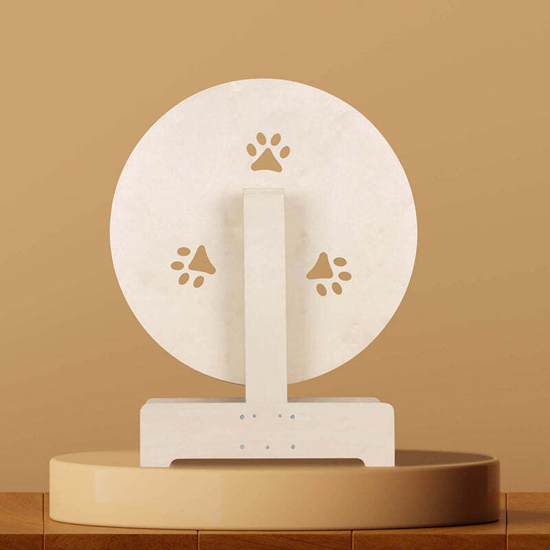 ❤️The Best Gift For Your Cats