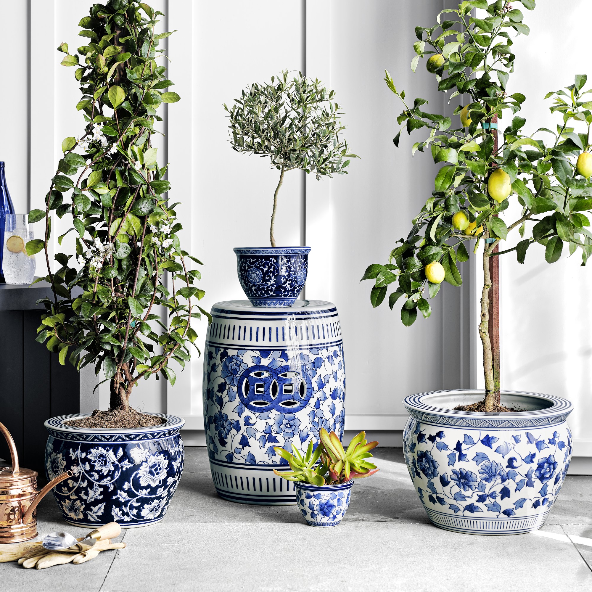 Blue & White Ceramic Planter Collection