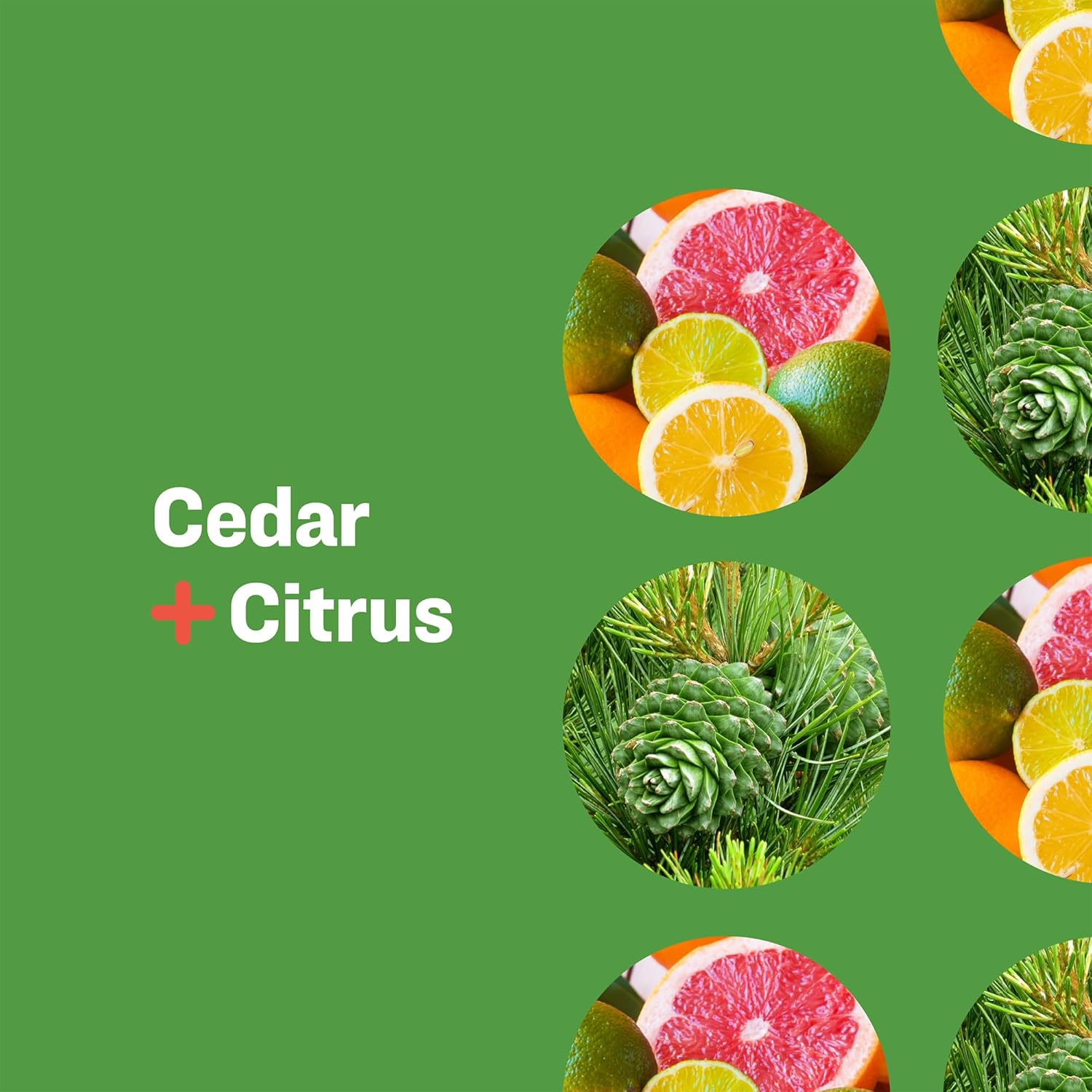 Everyone 3-in-1 Soap, Body Wash, Bubble Bath, Shampoo, 32 Ounce (Pack of 2), Lavender and Aloe, Coconut Cleanser with Organic Plant Extracts and Pure Essential Oils (Packaging May Vary)