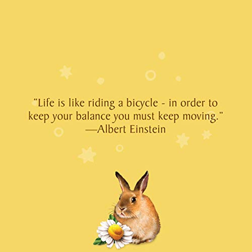 Celestial Seasonings Bengal Spice Herbal Tea, Caffeine Free, 20 Tea Bags Box, (Pack of 6)