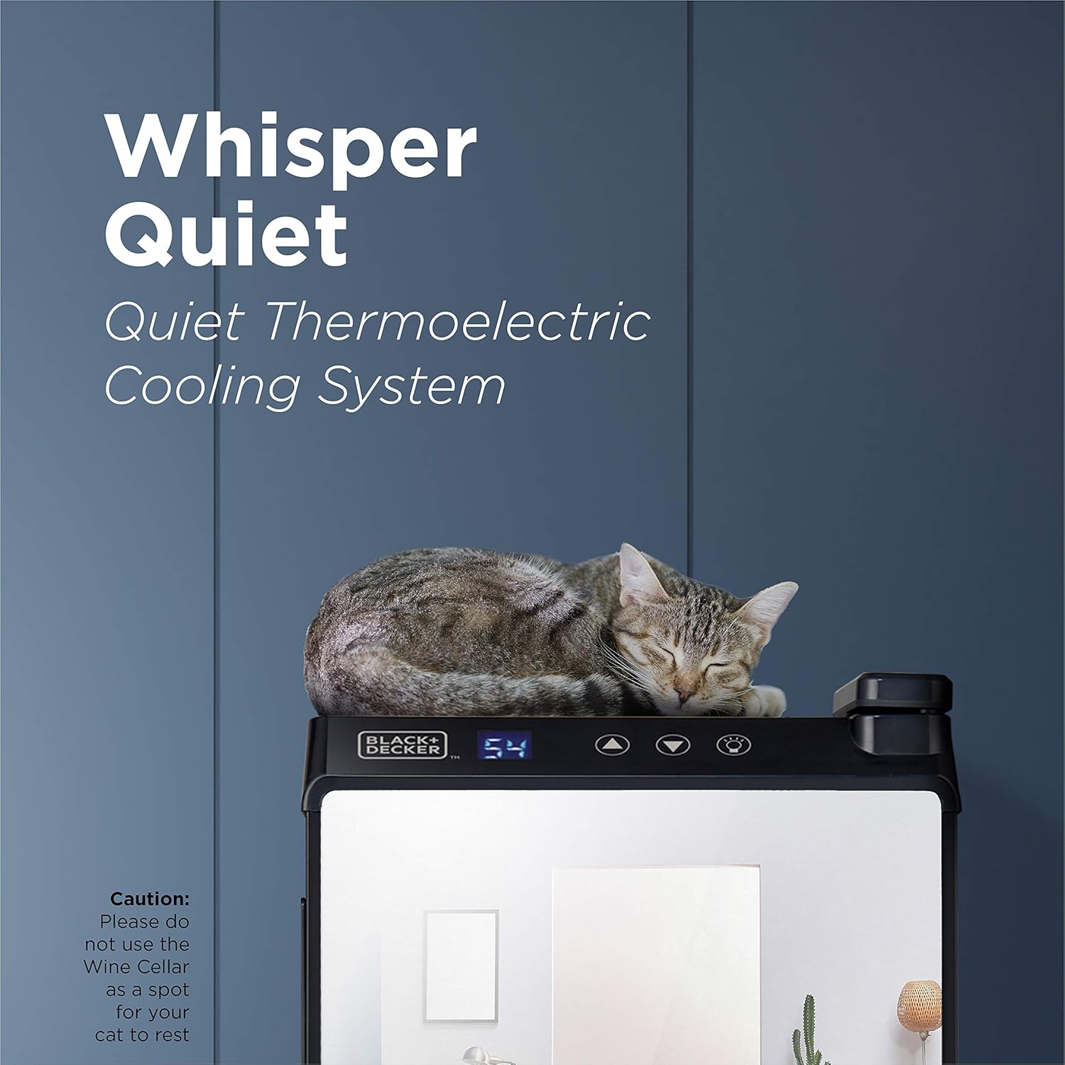 BLACK+DECKER Wine Fridge 12 Bottles, Thermoelectric Wine Cooler Refrigerator with Mirrored Front, Freestanding 12 Bottle Wine Fridge, BD60336