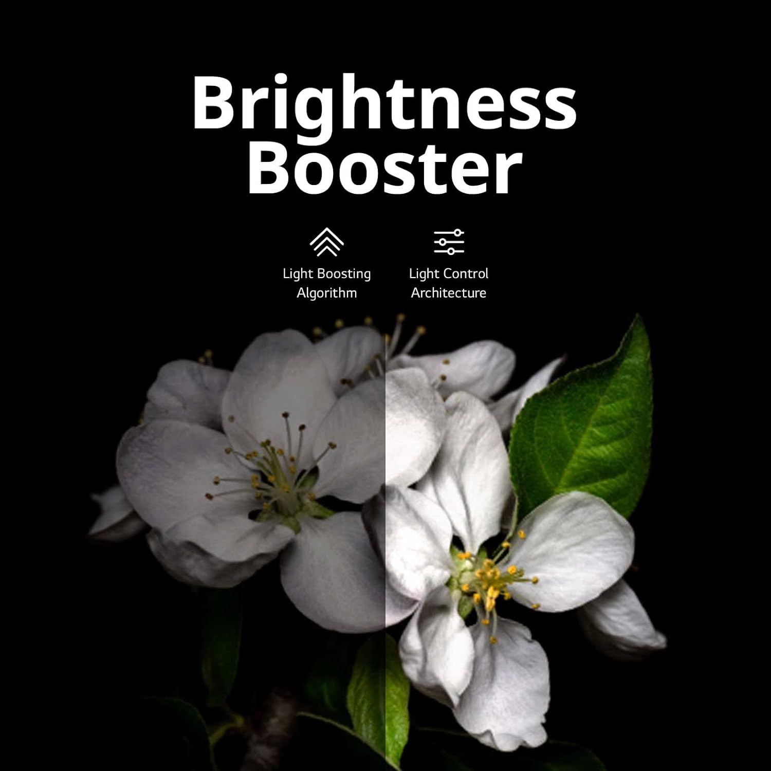 LG C3 Series 83-Inch Class OLED evo 4K Processor Smart Flat Screen Wall Mount TV with Magic Remote AI-Powered OLED83C3PUA, 2023 with Alexa Built-in