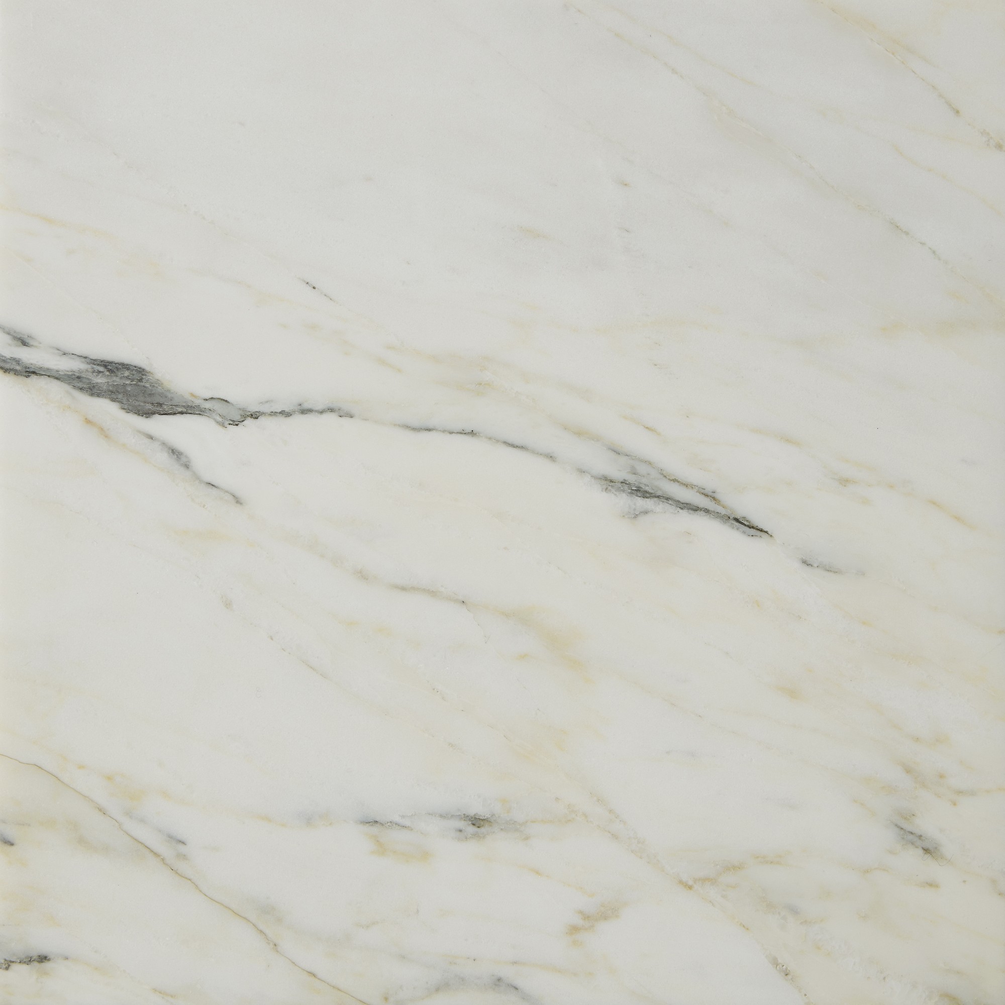 Lucca Arabescato Collection Marble Swatch - Free Returns Within 30 Days