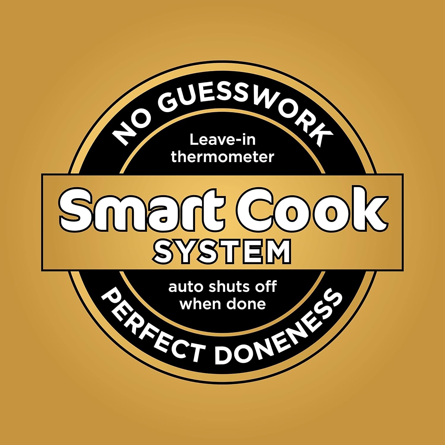 Ninja Air Fryer, Thermometer, Roast, Bake, Air Fry, Crisps, Broil, Reheats, Keep Warm, 10-in-1, Fries, Frozen Food, Veggies, and Meat, Quick Meals, Healthy Meals, Less Oil, 10 QT, Grey, DZ550​