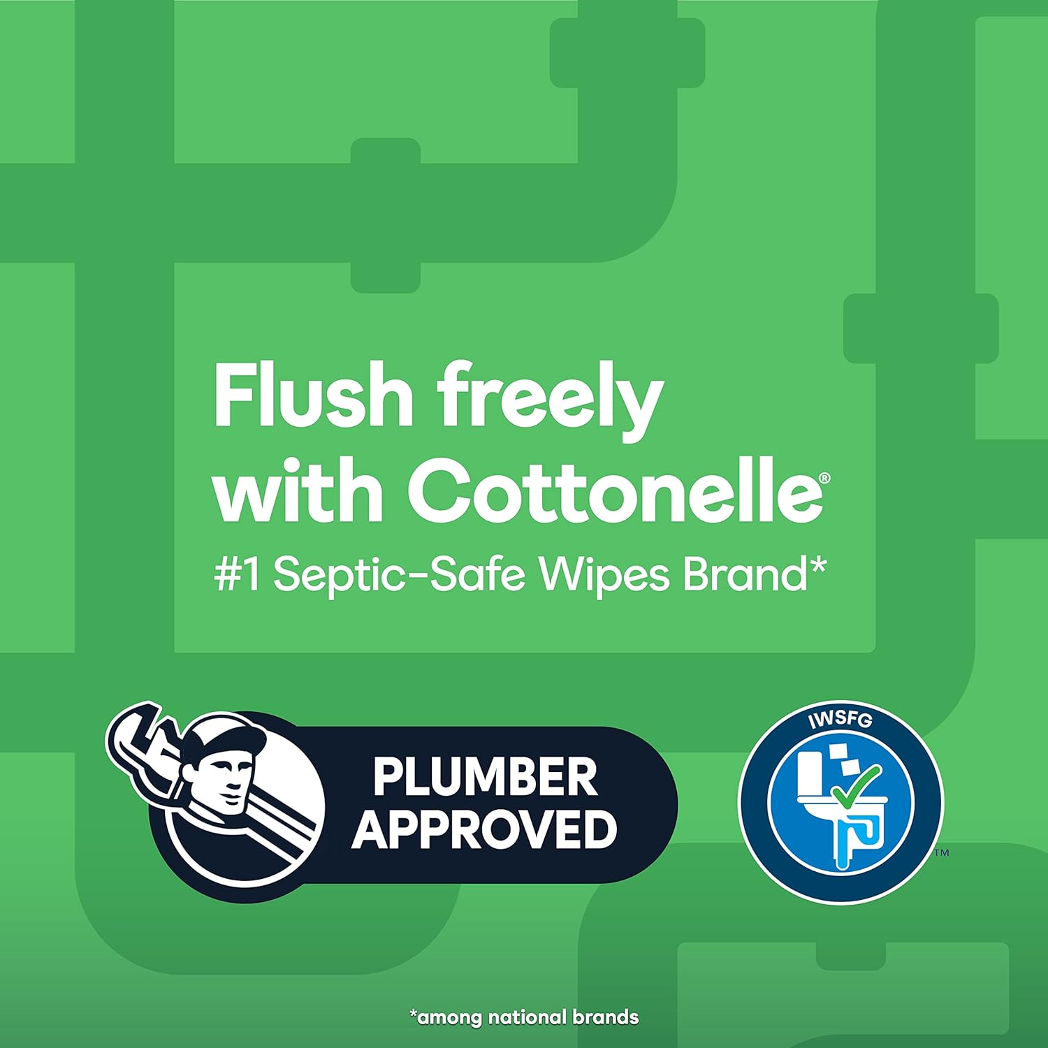 Cottonelle GentlePlus Flushable Wet Wipes with Aloe & Vitamin E, 6 Flip-Top Packs, 42 Wipes Per Pack (252 Total Wipes), Packaging May Vary