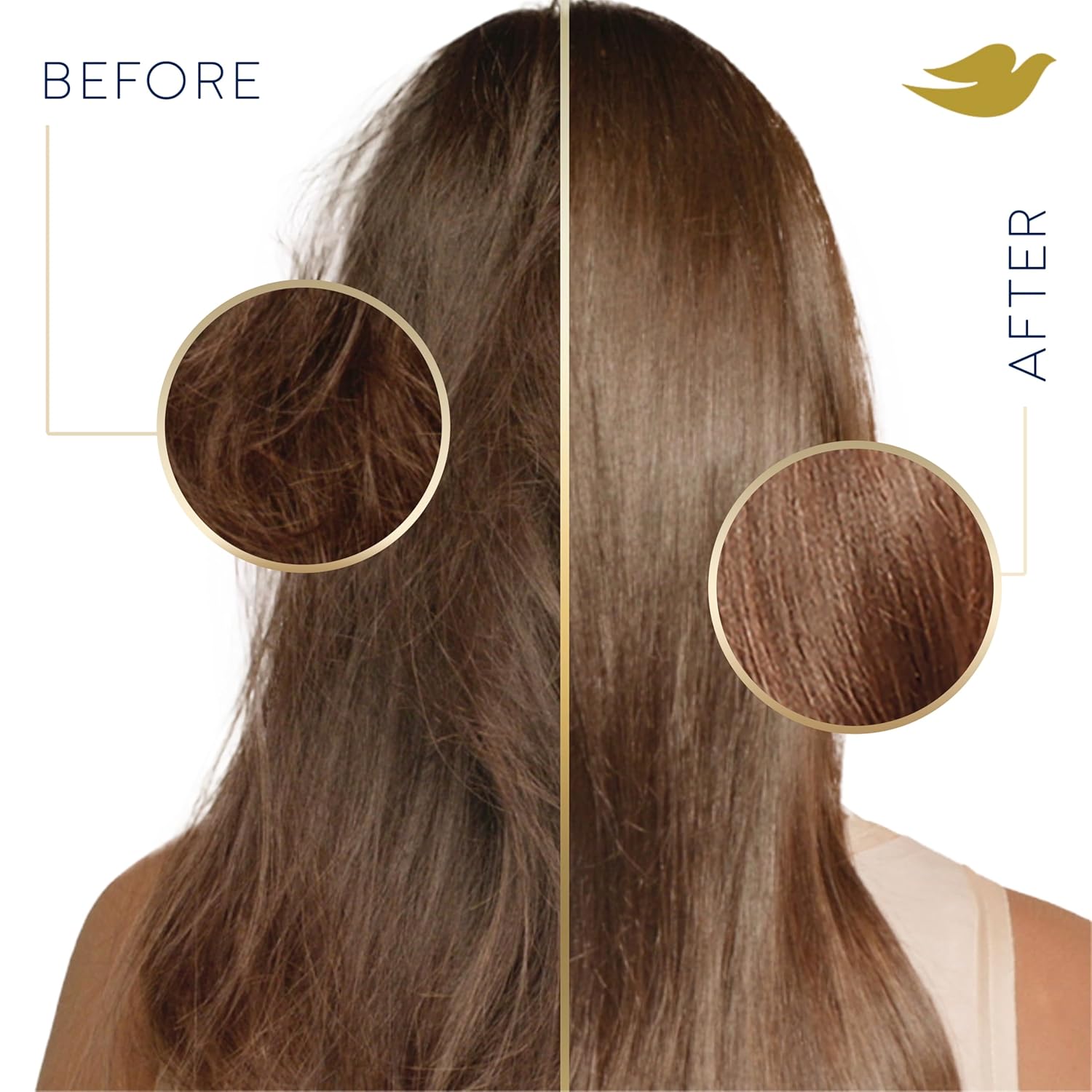 Dove Damage Therapy Shampoo Daily Moisture for Dry Hair Shampoo with Bio-Protein Care 20.4 fl oz