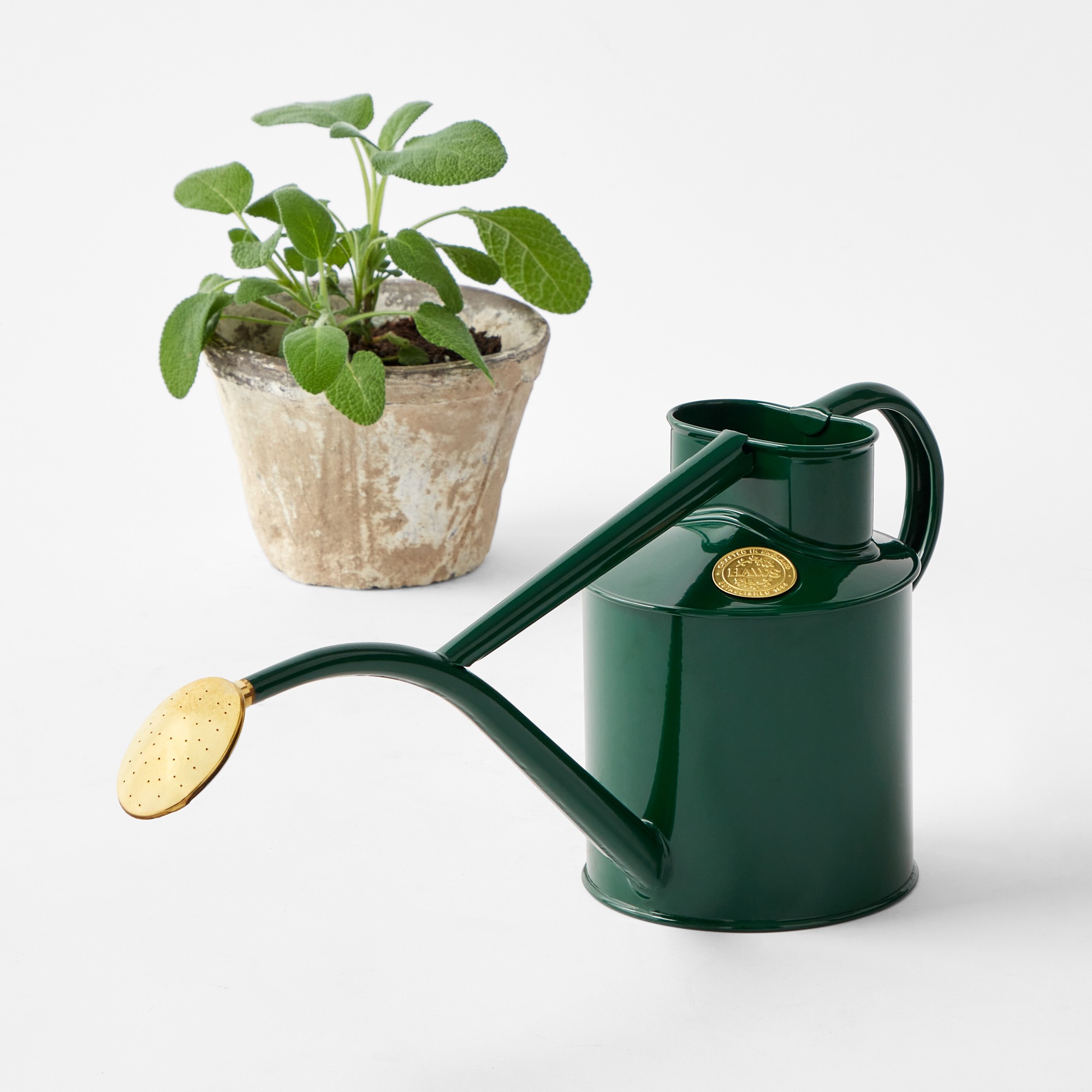 Haws Watering Can, Green