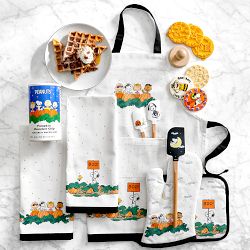 PEANUTS™ x Williams Sonoma Halloween Pumpkin Chocolate Chip Pancake & Waffle Mix