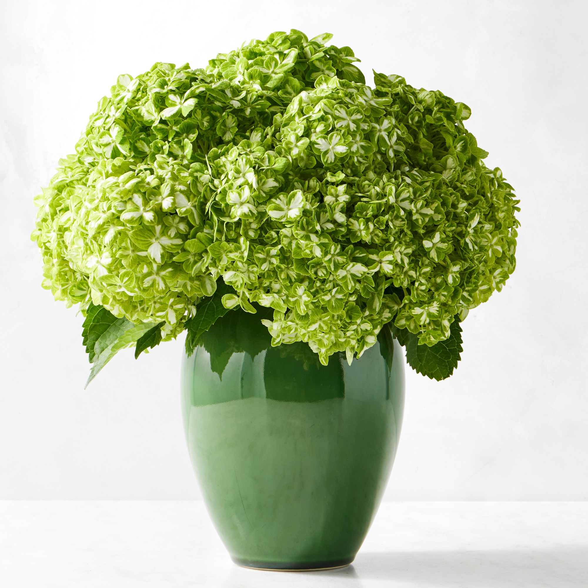 Provençal Large Vase