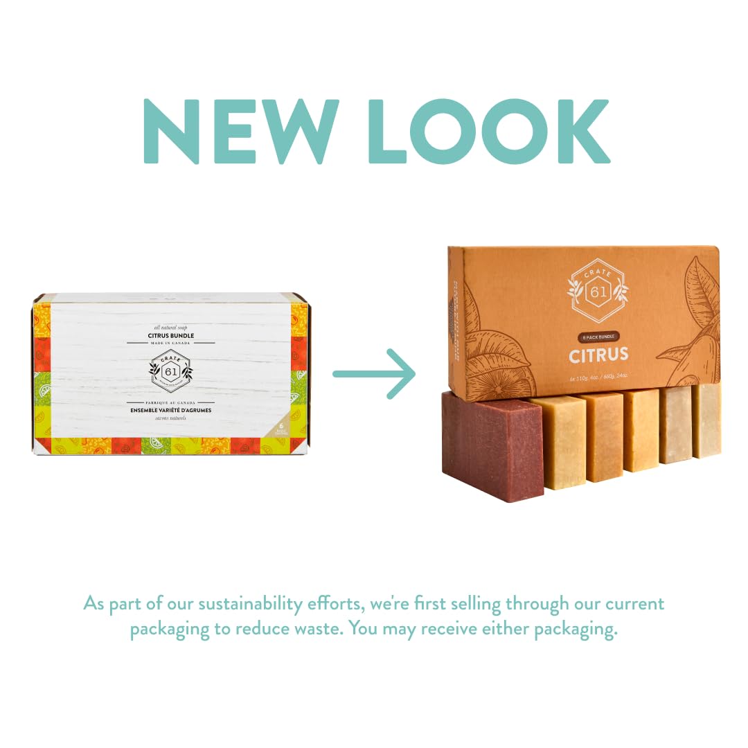 Handmade in Canada, Plant Based Cold Process Natural Bar Soap, With Premium Essential Oils, Dry Skin, Pack of 6 (Most Popular)