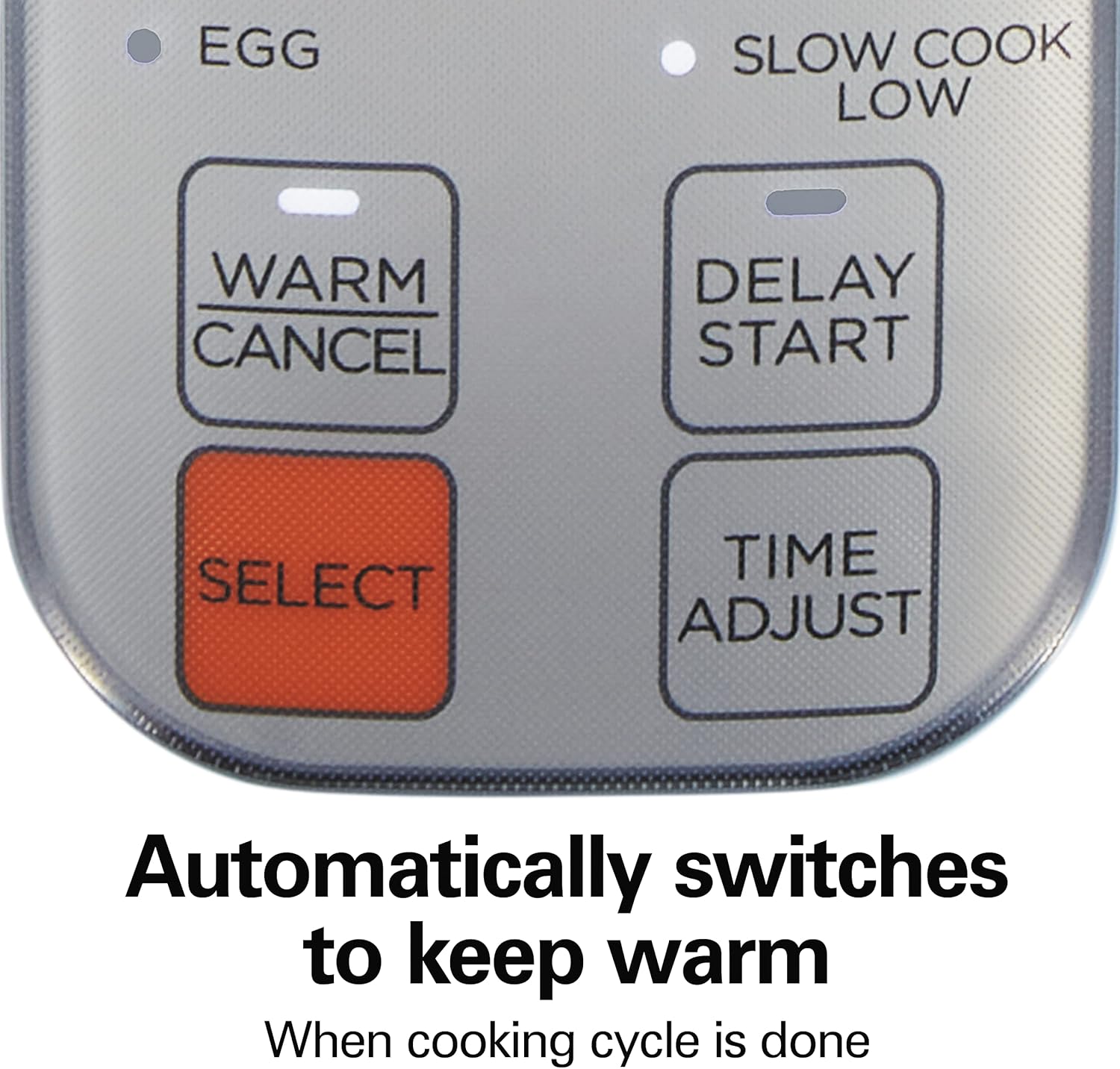 Hamilton Beach Digital Programmable Rice Cooker & Food Steamer, 8 Cups Cooked (4 Uncooked), With Steam & Rinse Basket, Stainless Steel (37518)