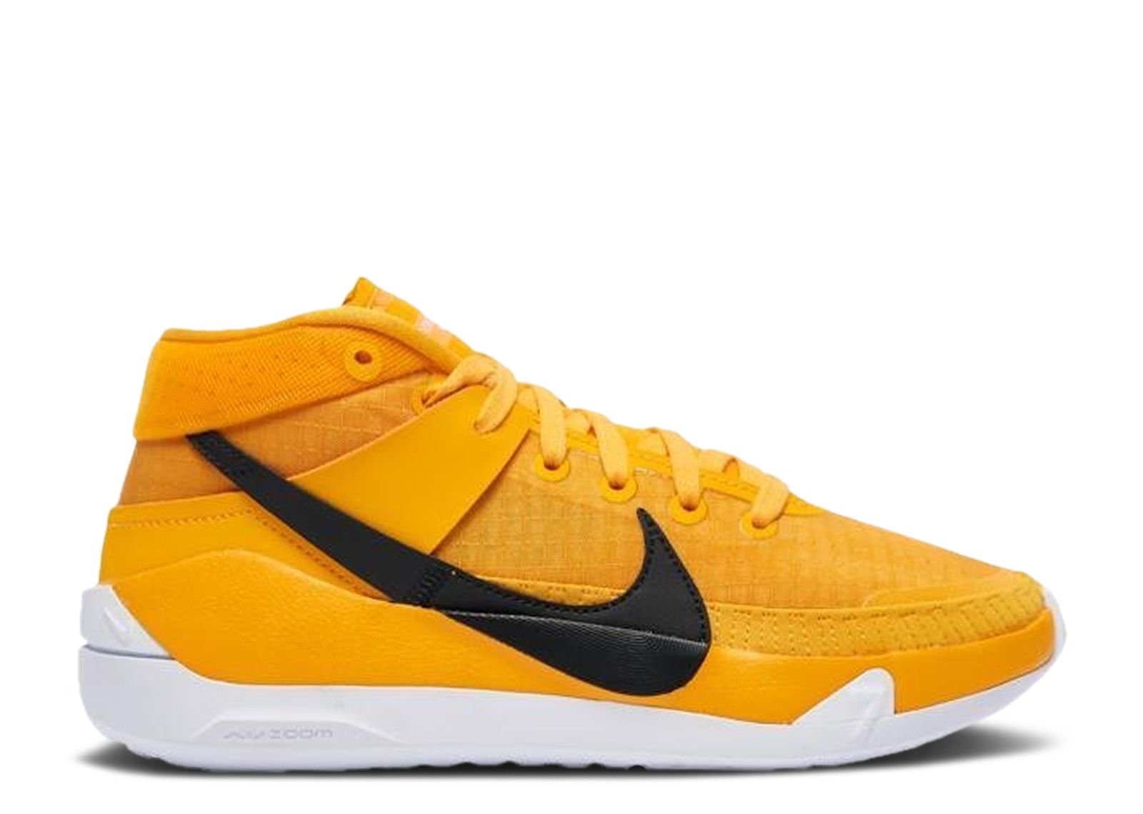 KD 13 TB 'University Gold'