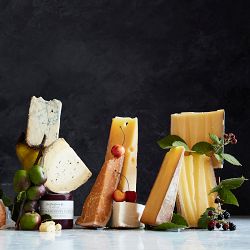 Swiss Cheese Collection