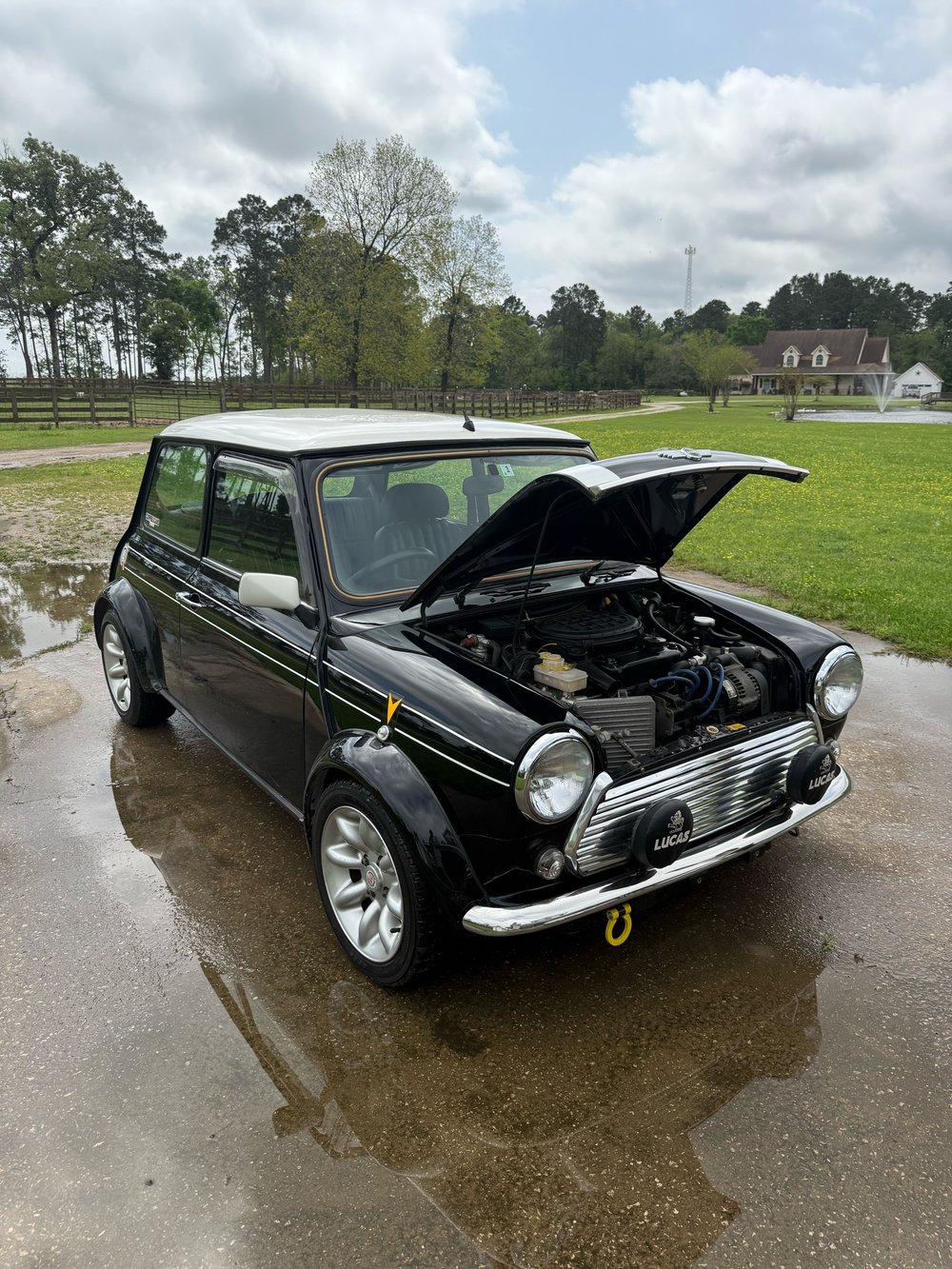 1998 Rover Mini Cooper BSCC Edition