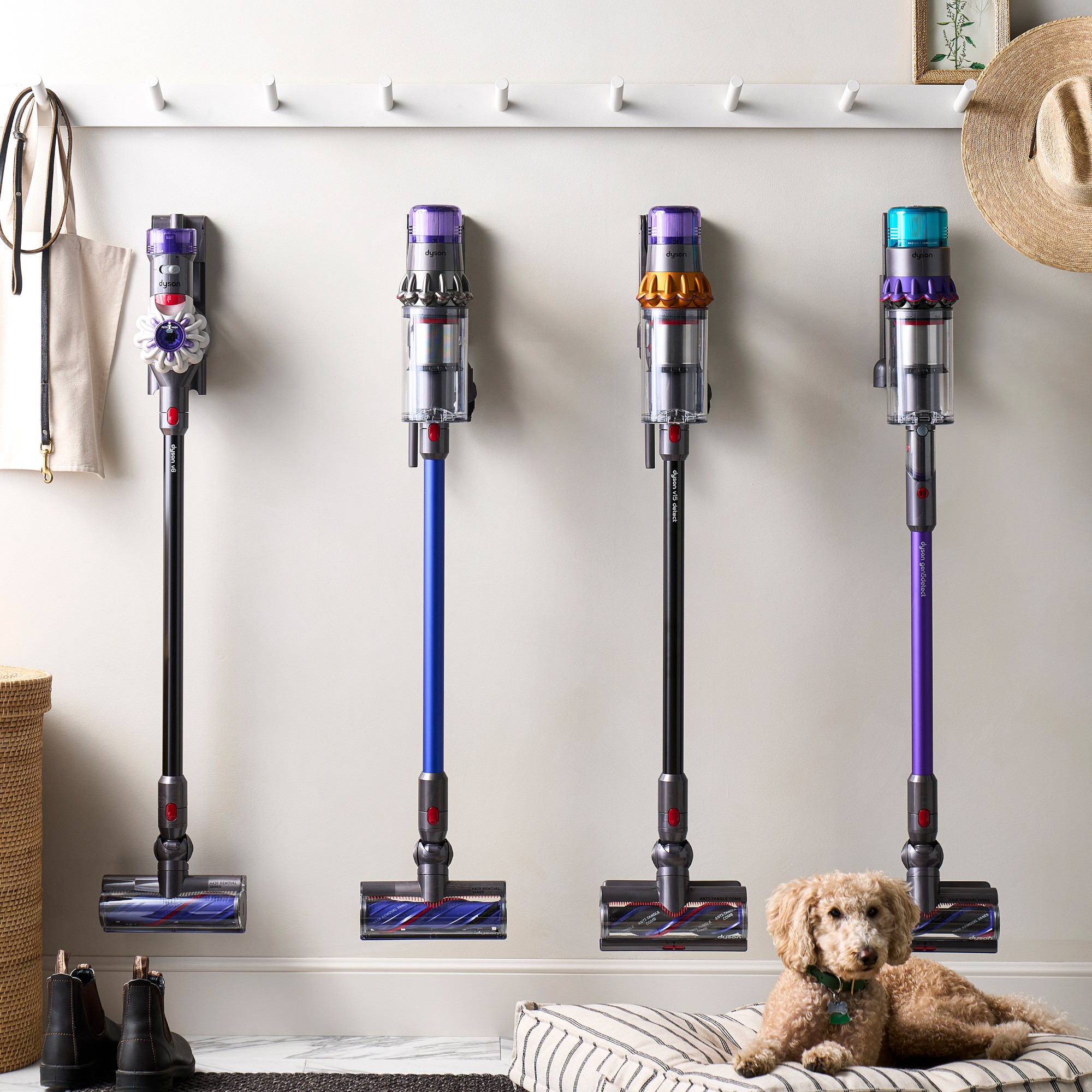 Dyson v11 Vacuum