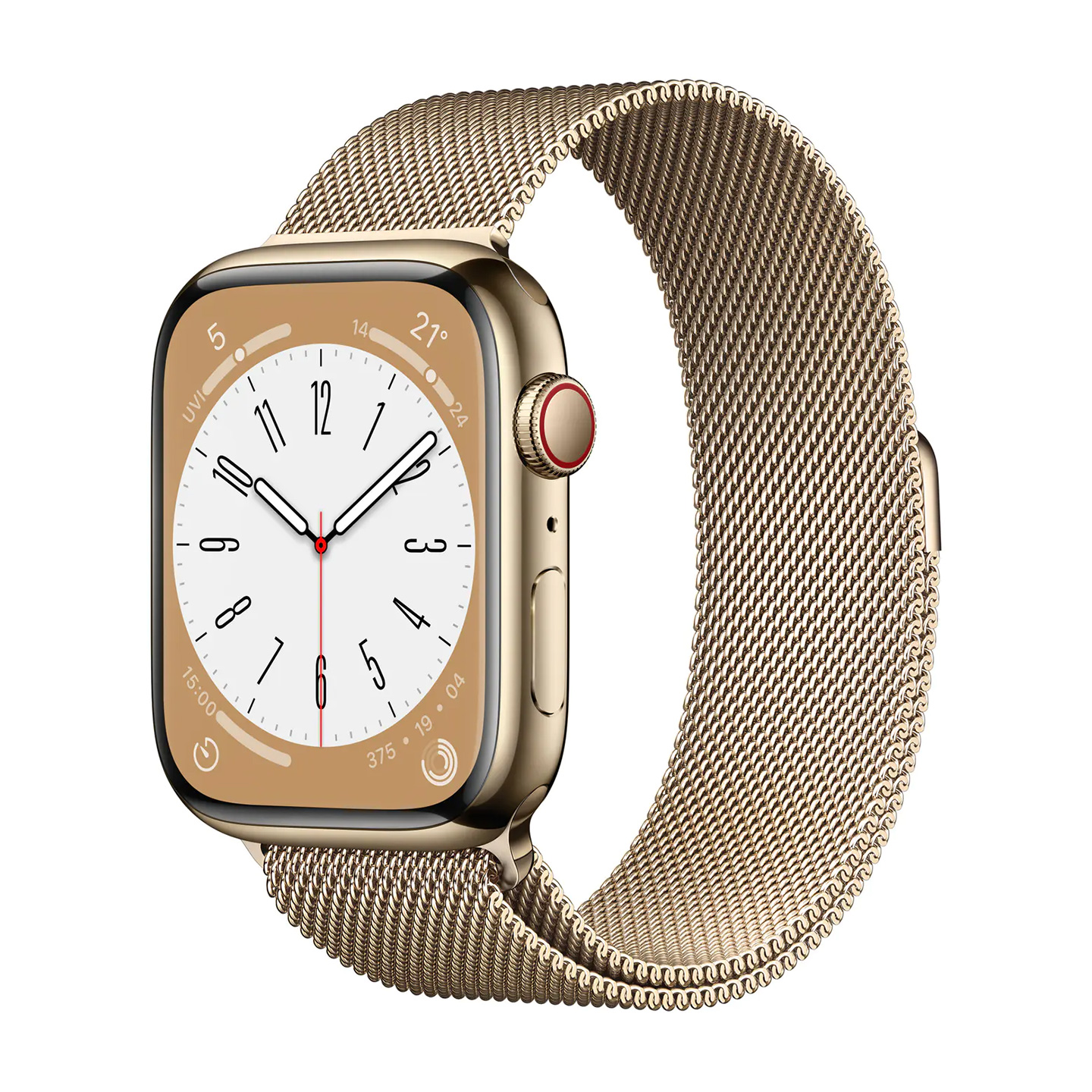 Smart Series 8 Stainless steel 45 mm (2022) Unlocked