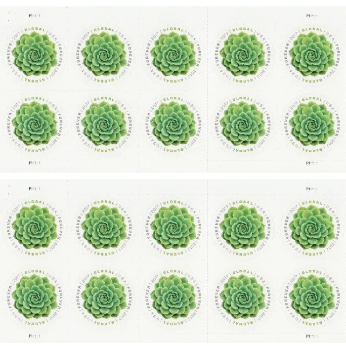 2017 Global Green Succulent