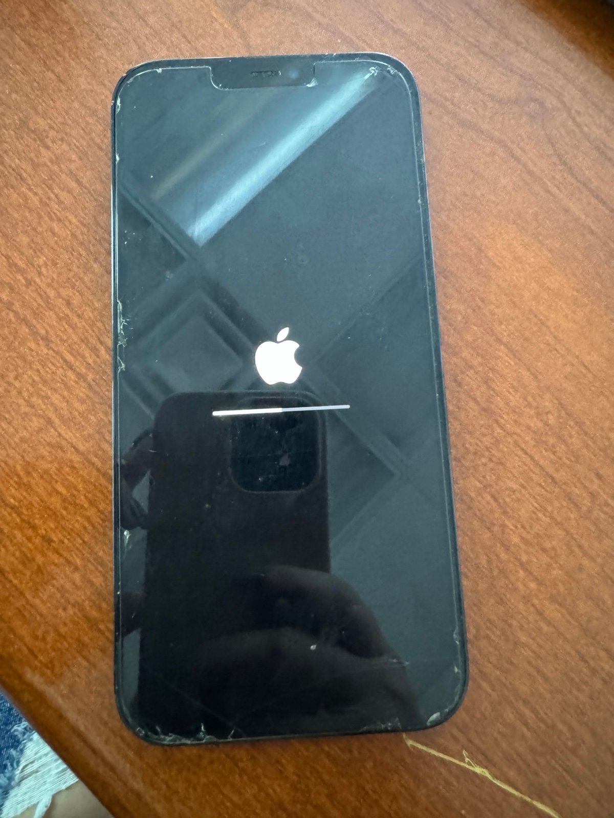 iPhone 12 Pro Max 7W28