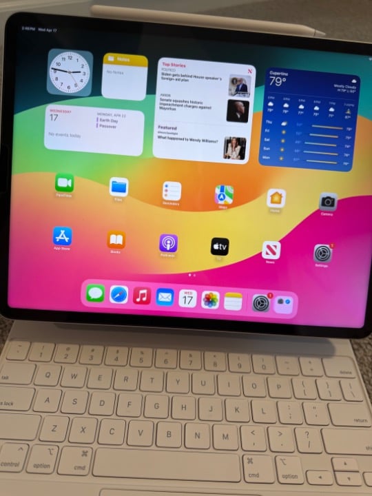 iPad Pro 12.9 in (6th Generation) 256GB - WiFi Only 8T97