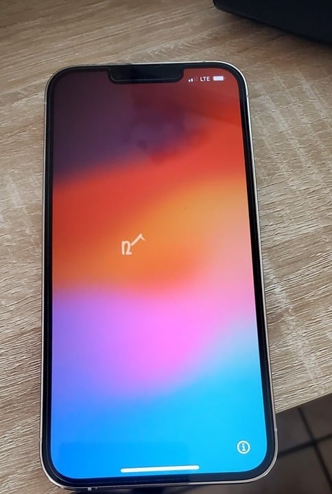 Apple iPhone 13 Pro 1U65