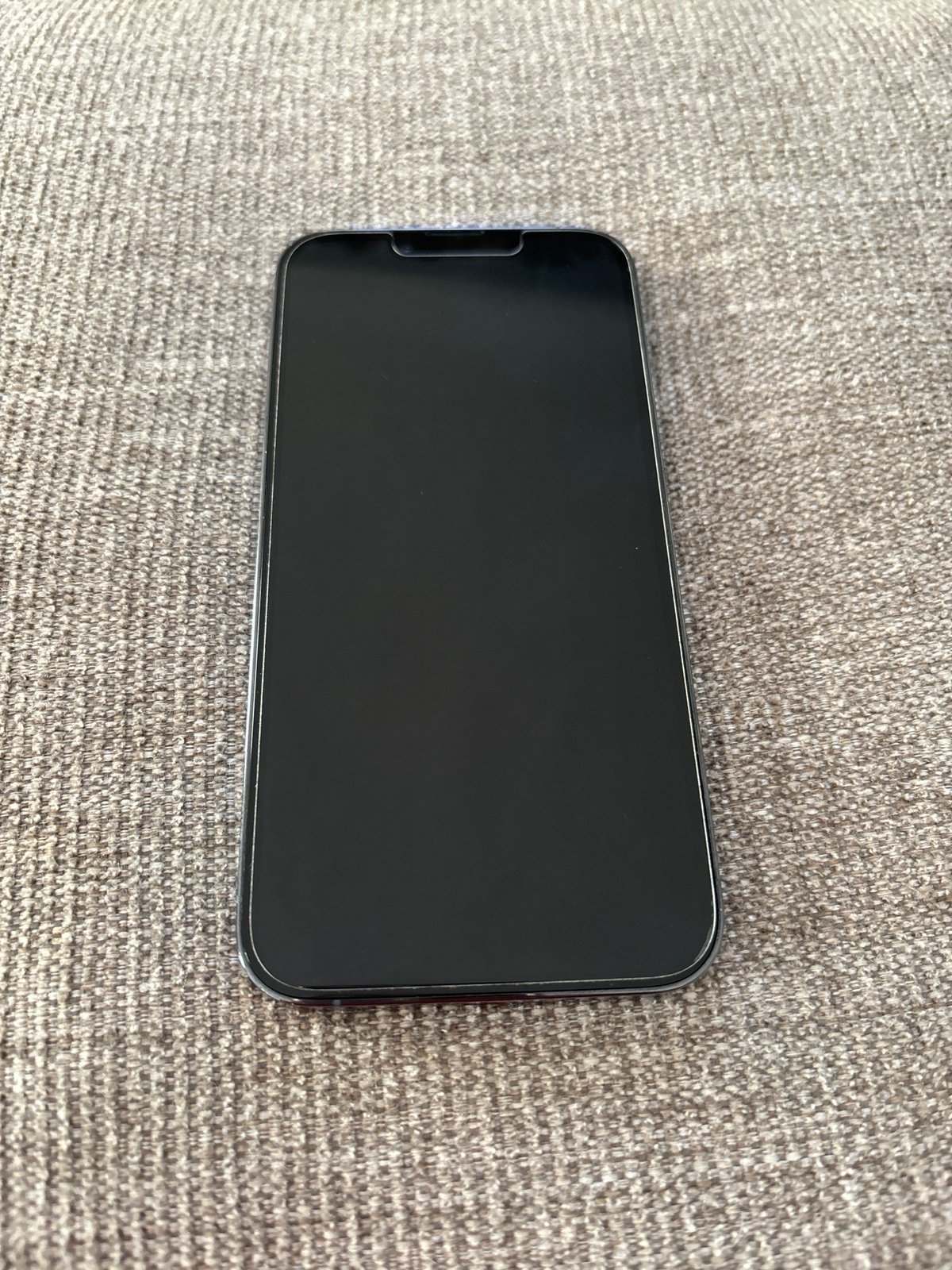 iPhone 13 Pro 256 GB Unlocked 3P99