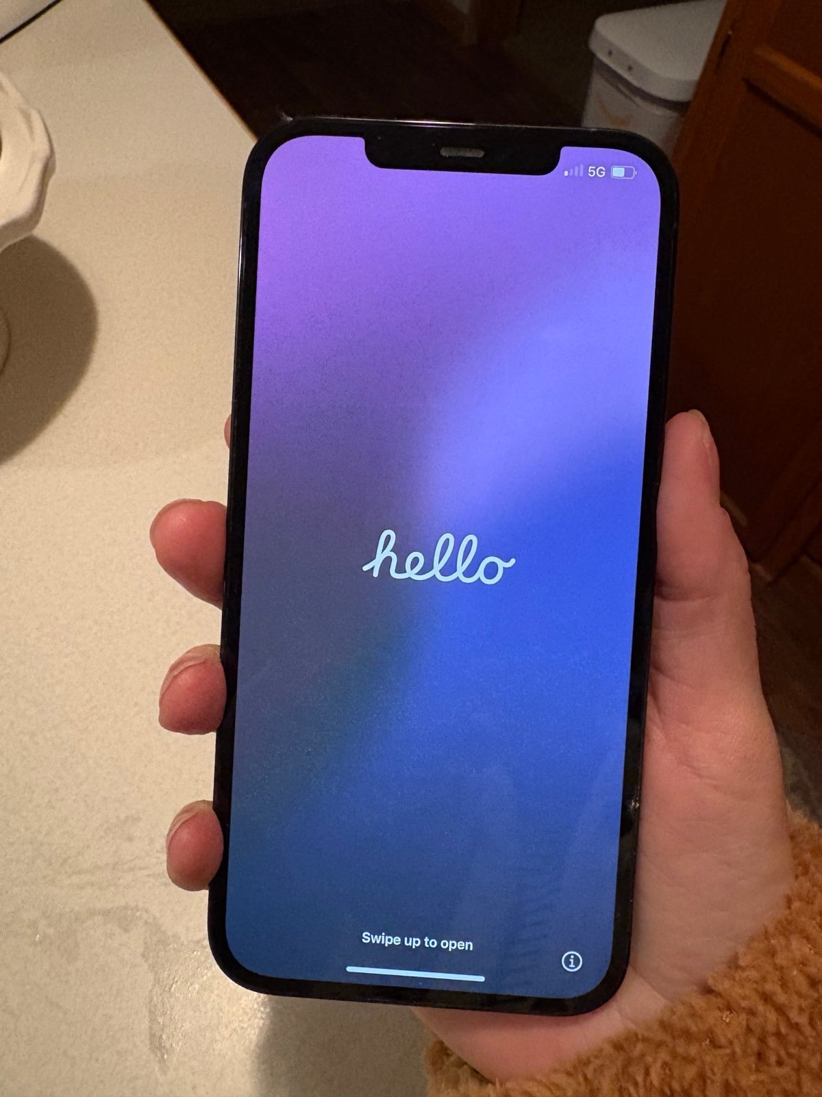 iPhone 12 Pro Max 6B61