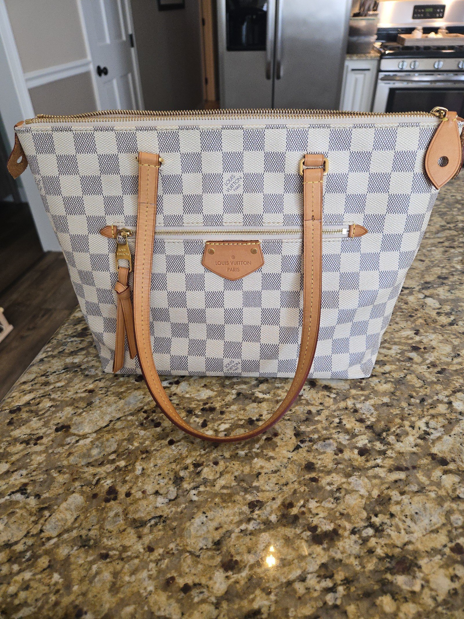 Louis Vuitton Lena PM Handbag