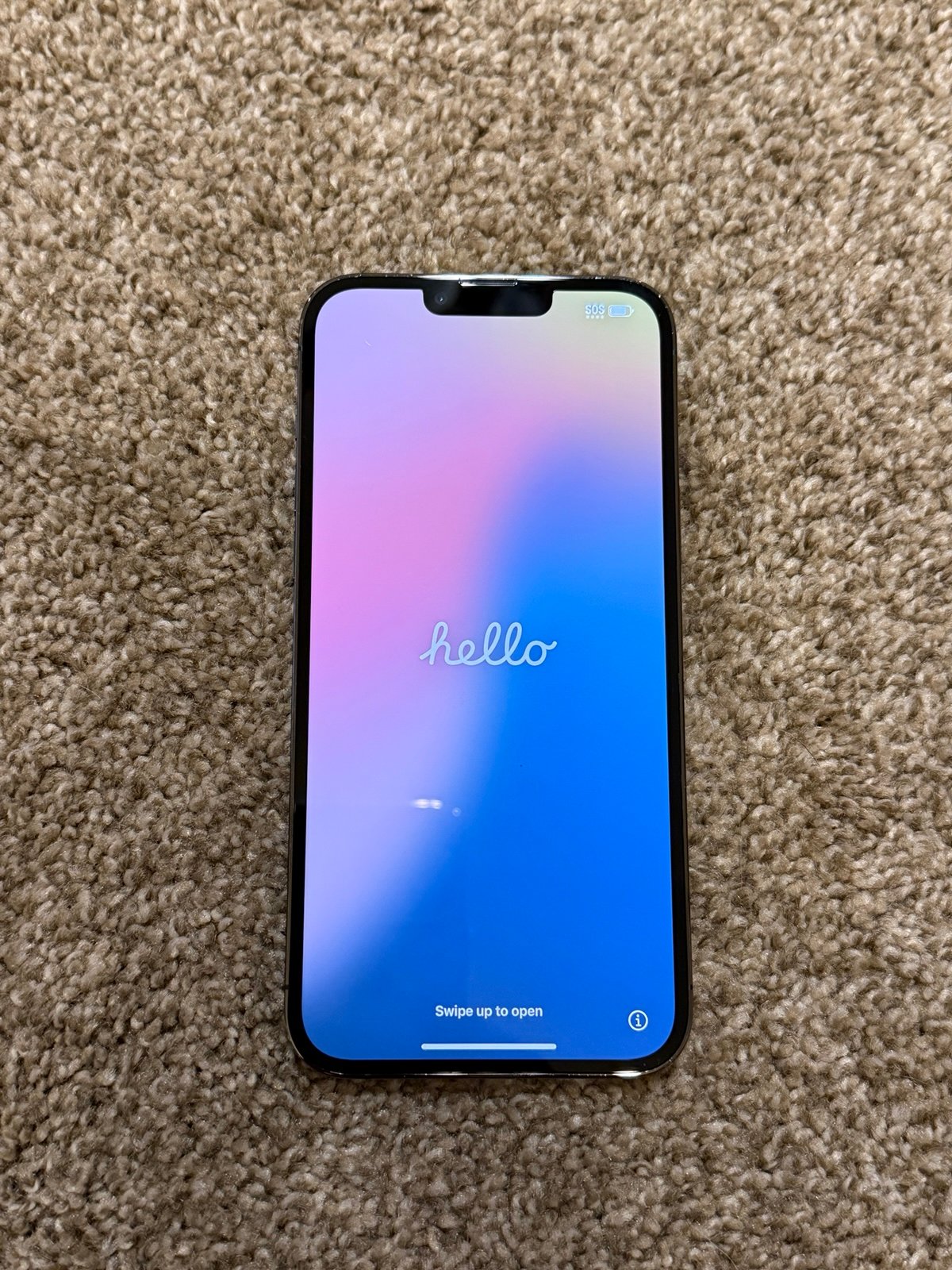 iPhone 13 Pro Max 128 GB (Unlocked) 6Y93