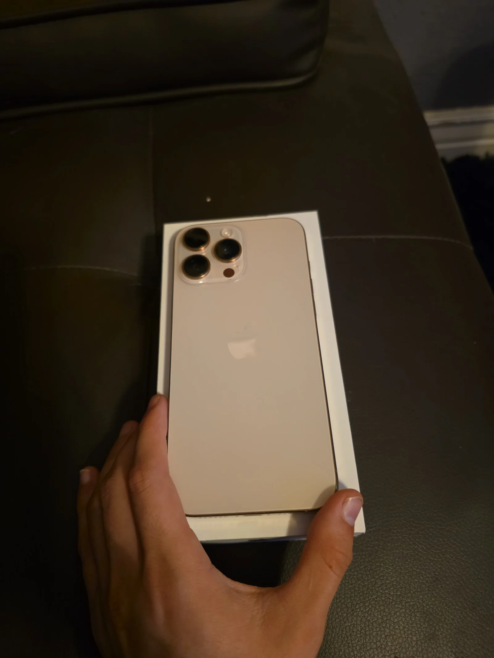 IPhone 16 Pro Max Unlocked