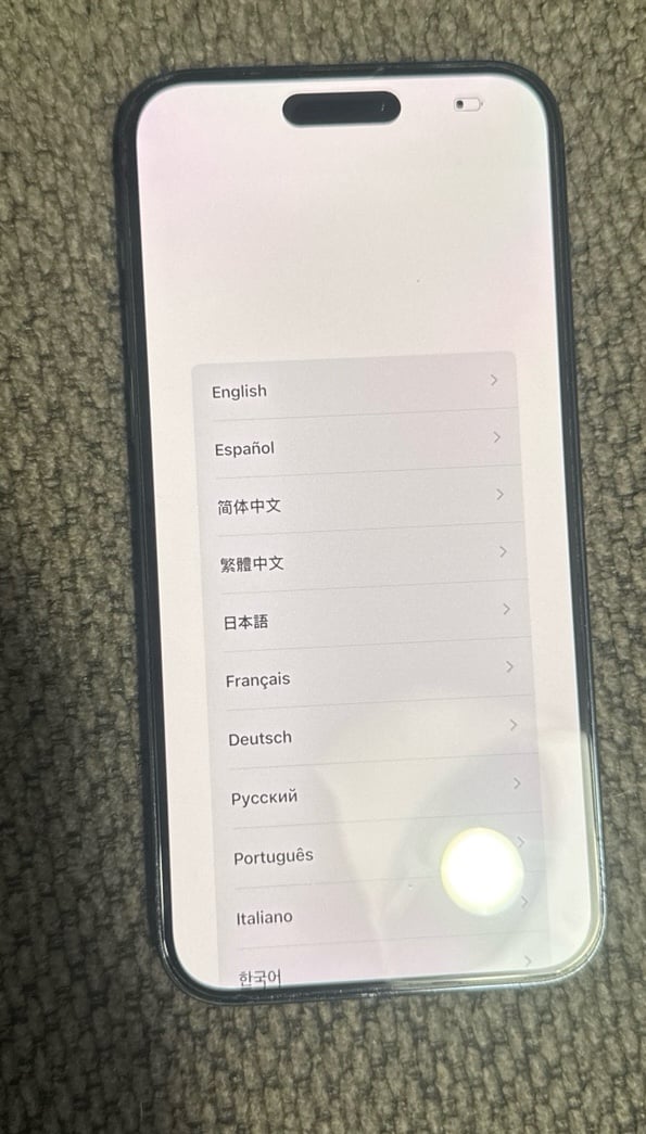 iPhone 14 Pro Max 1X98