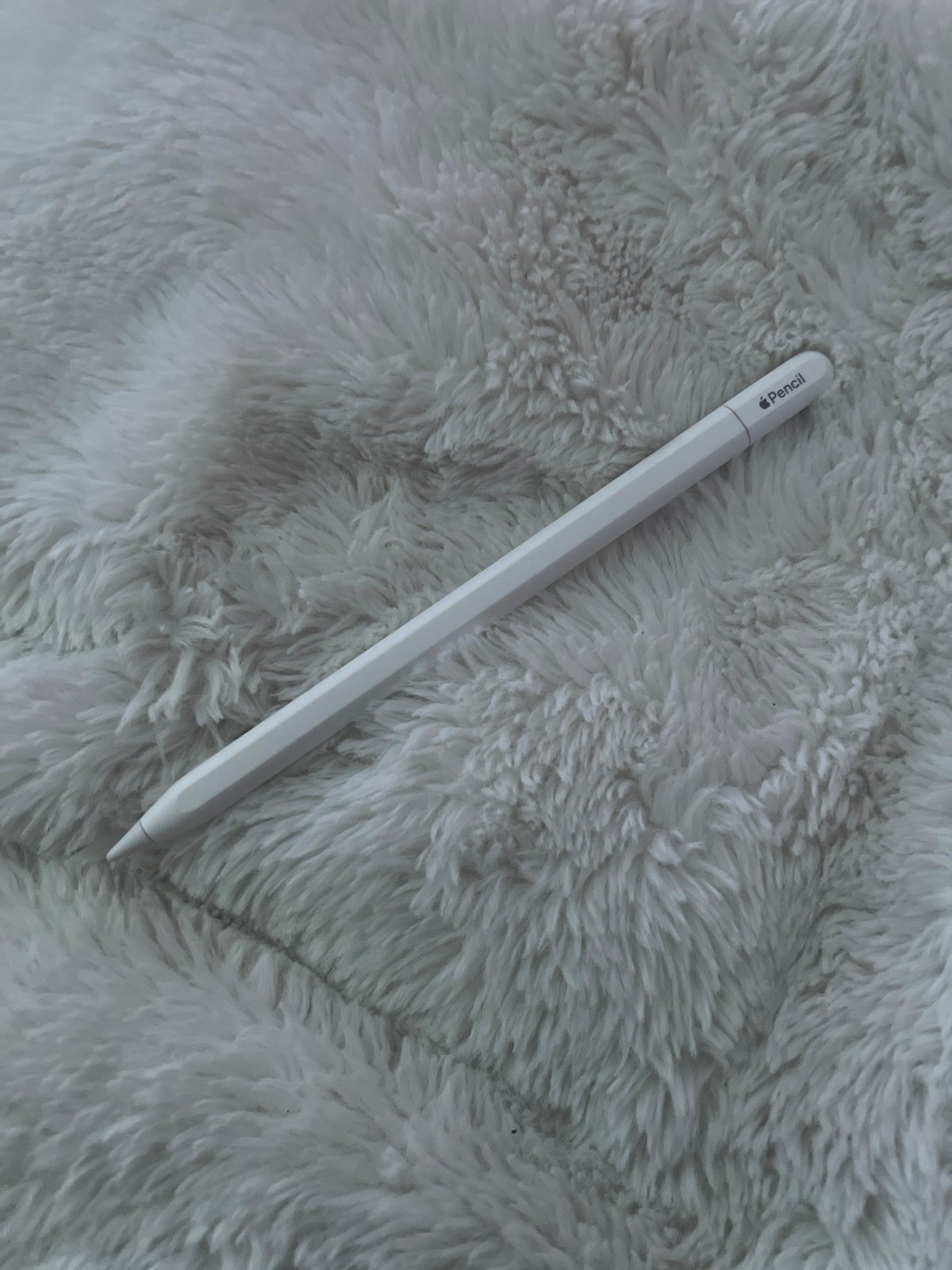 iPad Pro 12.9 inch 3rd Gen - 256GB WiFi 6E97