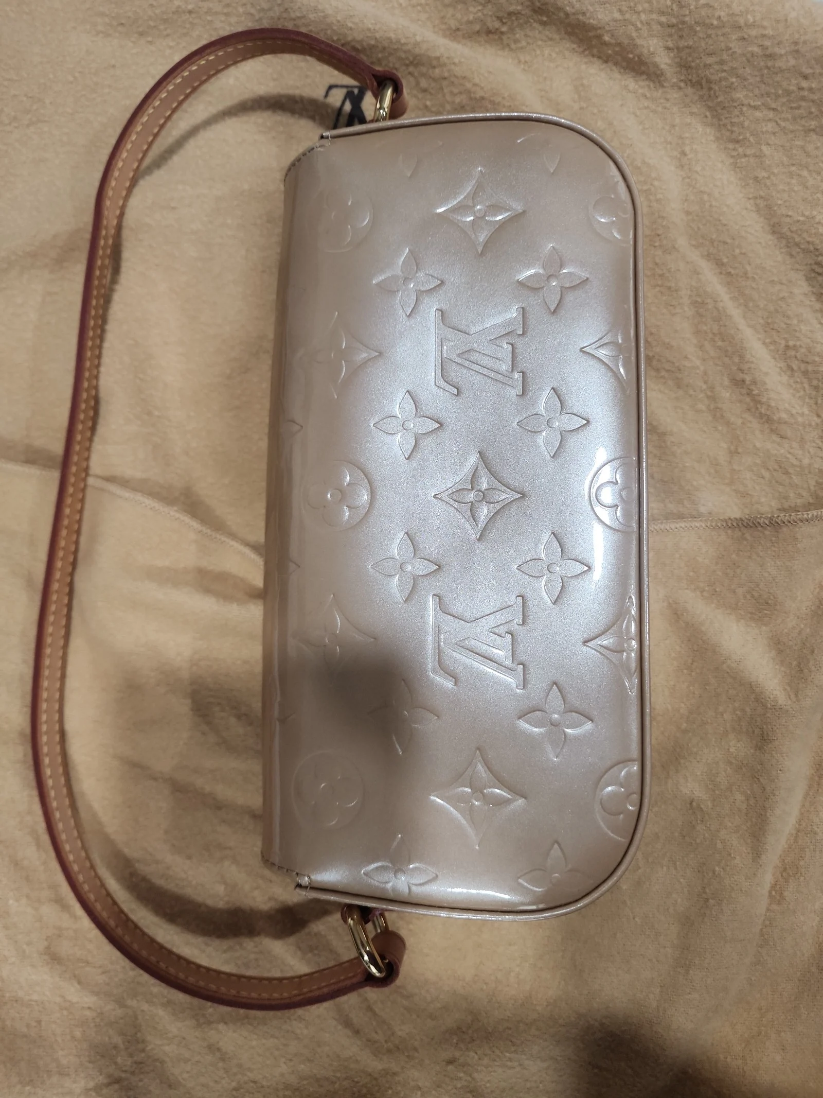 Louis Vuitton Vermis Malibu pochette